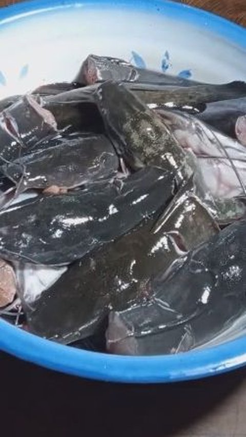 Cara Cepat Hilangkan Lendir Ikan Lele dengan 2 Bahan Dapur