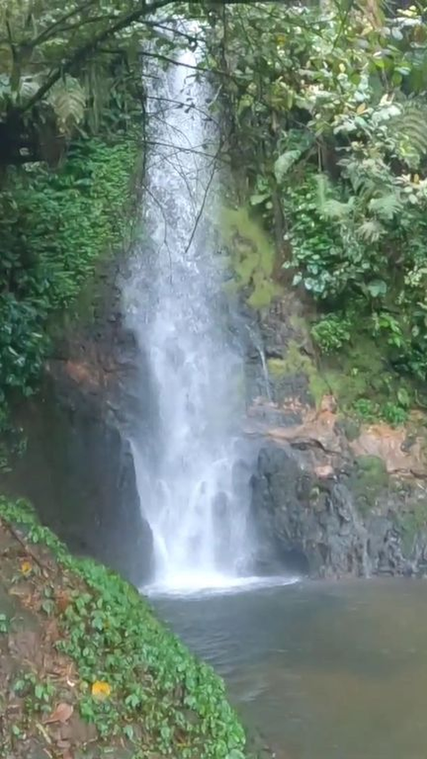 Berendam di Sejuknya Curug Ngumpet Gunung Salak, Dipercaya Bikin Enteng Jodoh