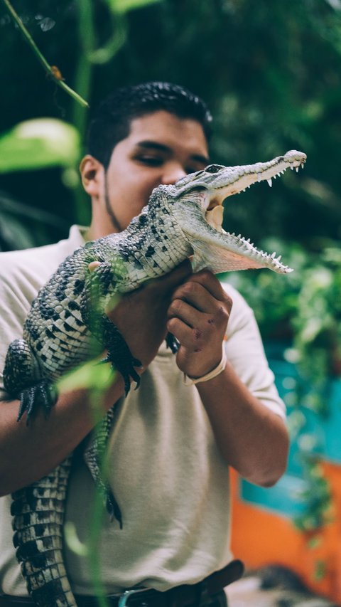 10 Arti Mimpi Buaya yang Dipercaya Jadi Pertanda Ancaman