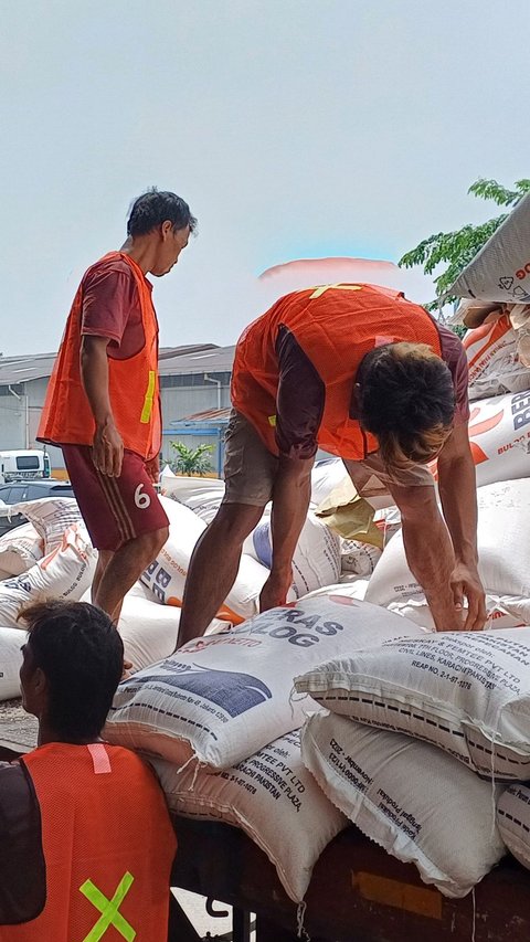 Wamen BUMN: Beras Bulog Bebas Kutu dan Tidak Pecah-Pecah, Sudah Setara Beras Premium