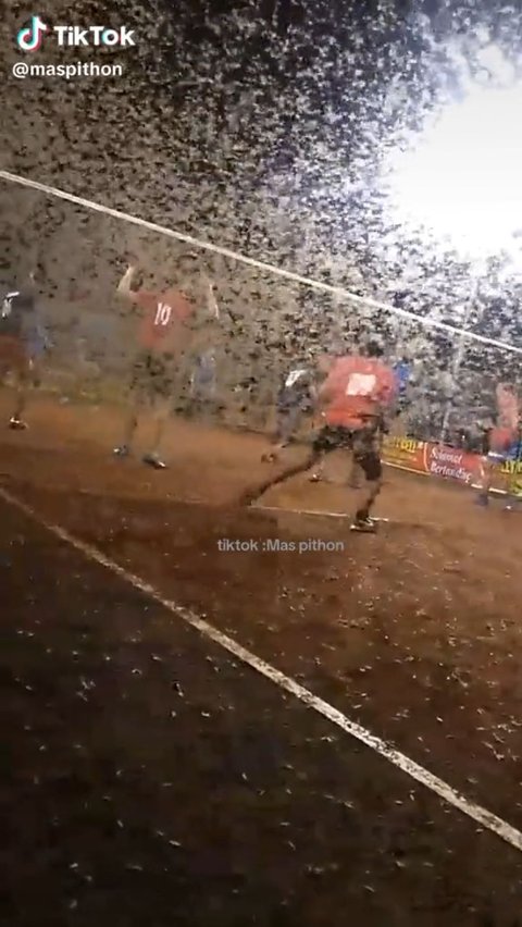 No Effect, These Dads Still Play Volleyball Despite Being Swarmed by Thousands of Flies