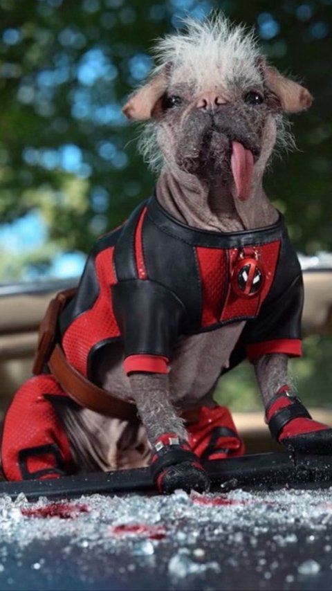 Deadpool 3 May Shows Another Iconic Characters!