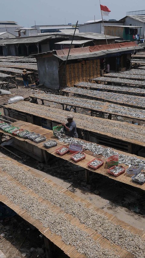 FOTO: Geliat Produksi Ikan Asin di Tengah Cuaca Tak Tentu