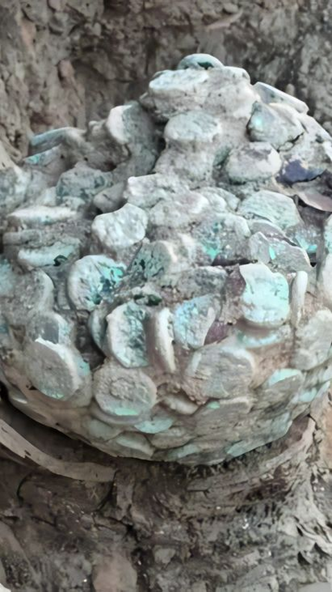 Celengan Berisi Penuh Koin Berusia 2.000 Tahun Ditemukan di Reruntuhan Kuil Budha Kuno