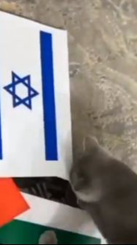 Kumpulan Aksi Burung hingga Kucing Robek & Turunkan Bendera Israel, 'Bahkan Hewan pun Anti Zionis'