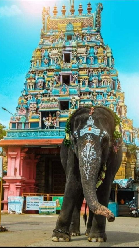 Coimbatore Tourist Places: 5 Family-Friendly Destinations for a Memorable Trip