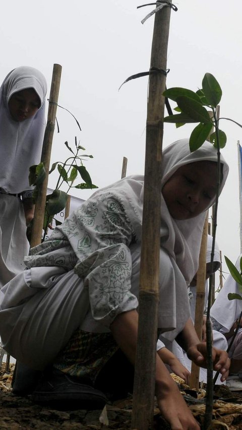 FOTO: Cegah Abrasi dan Kurangi Emisi Karbon, 5.000 Pohon Mangrove Ditanam di Muara Angke