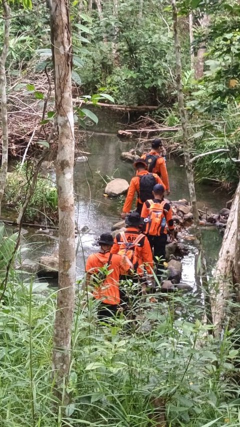 ABG Hilang Selama Sepekan di Hutan Lubuklinggau, Belasan Dukun Dikerahkan Bantu Menerawang