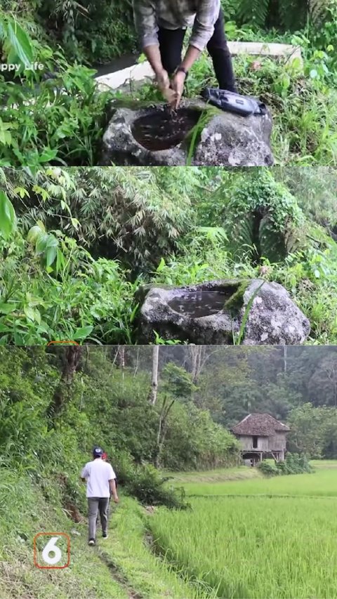 Airnya Dipercaya Bikin Awet Muda, Batu Lesung di Tengah Sawah Lampung Diperkirakan Berusia Hampir 1.000 Tahun