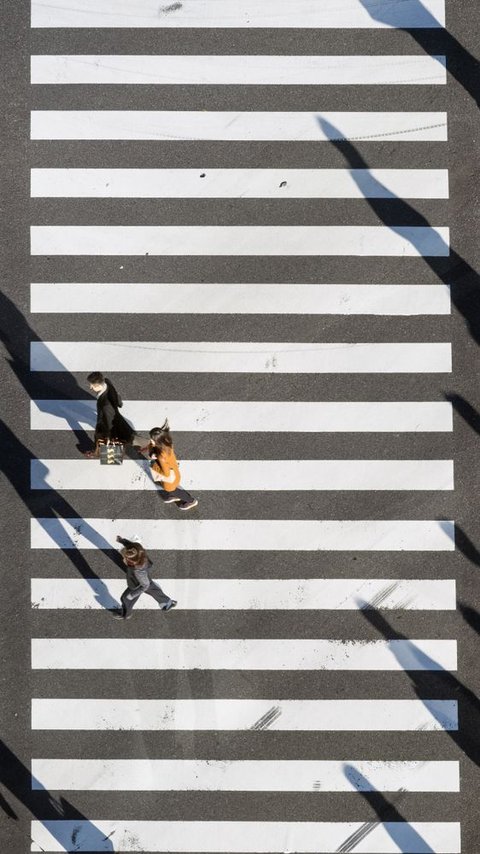 Kenapa Zebra Cross Berwarna Hitam Putih?