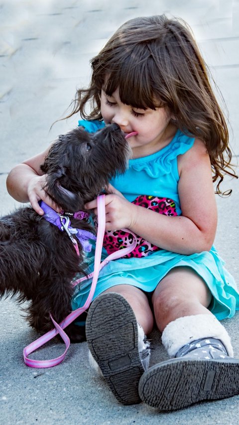 The 10 Most Popular Dog Breeds of 2023 That Are Safe for Kids' Pets
