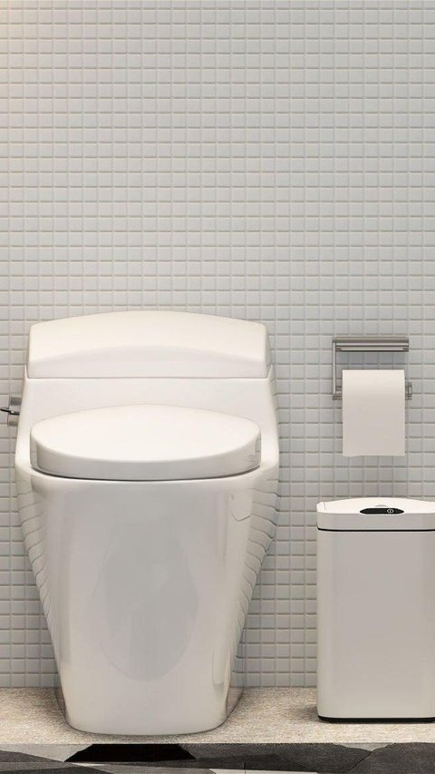 The Look of Toilet Across the Era