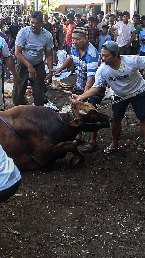 Memaknai Kurban dengan Semangat Kolaborasi Kebangsaan