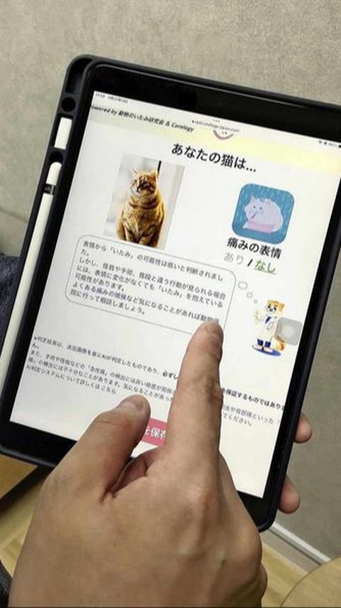 Japan Launches Pain Detection App for Cats