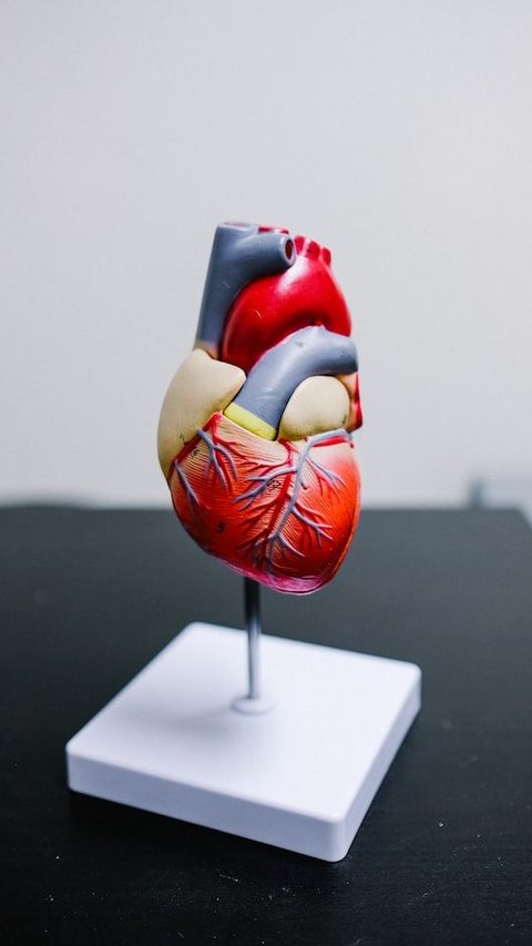 7 Foods And Drinks To Keep Your Heart Healthy