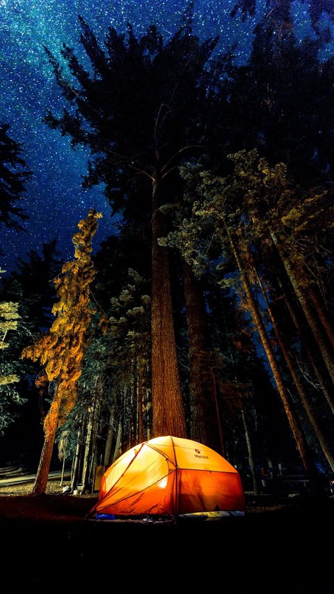 5 Best Camping Places in the World with Amazing Nature