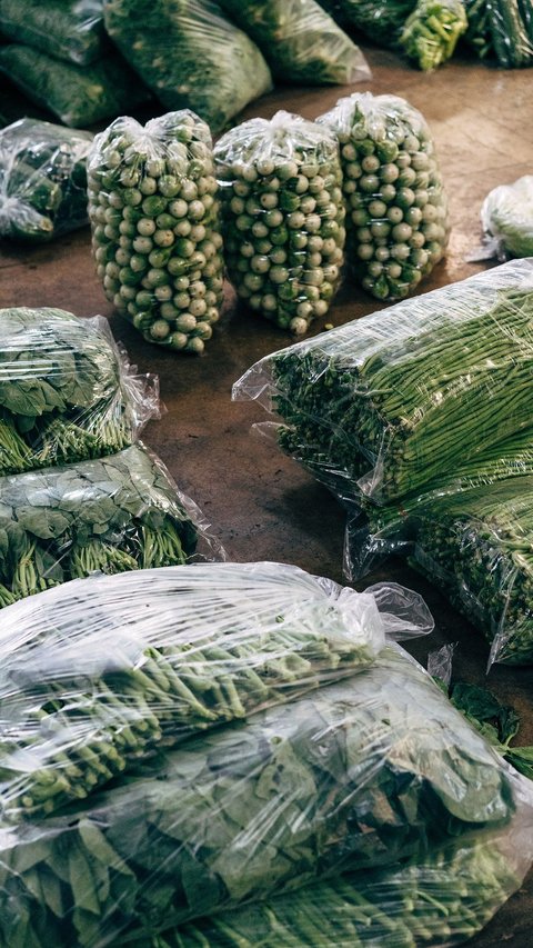 Mengurangi Beban Produksi UMKM, Ini Manfaat Pembangunan Rumah Kemasan di Medan