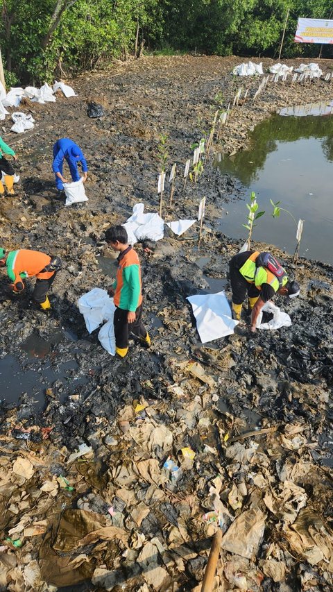 Usai Viral, Sampah Cemari Hutan Mangrove Angke Dibersihkan Polisi & Pemprov DKI