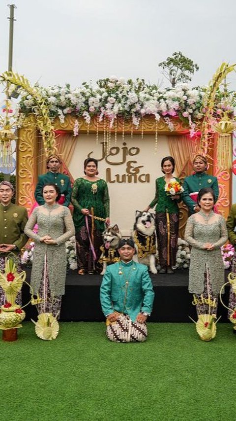 Fakta Pernikahan Anjing Viral Jojo dan Luna Pakai Adat Jawa, Habiskan Lebih dari Rp200 Juta