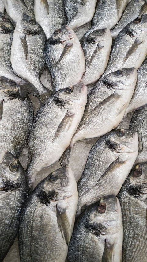 Bukan Jeruk Nipis, Pakai Ini Buat Hilangkan Bau Amis pada Ikan