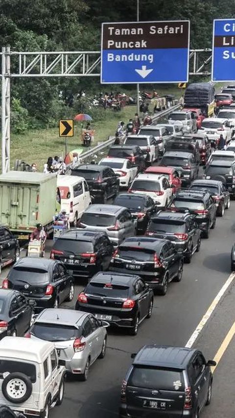 Tol Puncak-Cianjur Berpotensi Lewati Kawasan Rawan Longsor, Ini yang Harus Diperhatikan