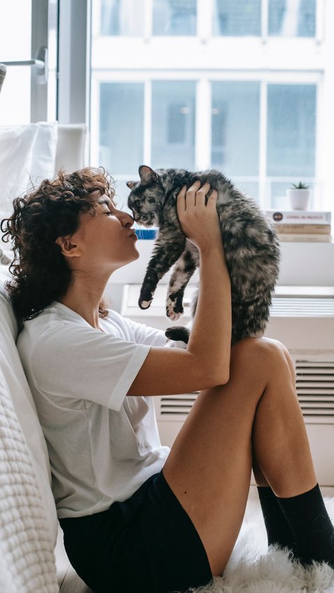 Tips Tetap Aman Perlihara Kucing Selama Masa Kehamilan