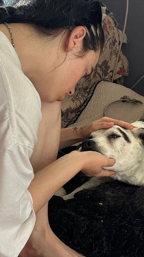 Billie Eilish Announces Her 15-Year-Old Dog Pepper Has Died