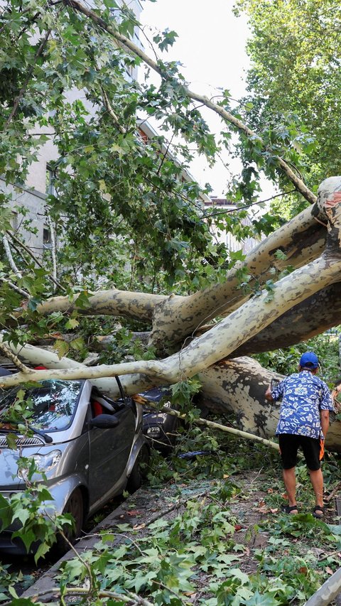 FOTO: Badai Angin Kencang Terdahyat Tumbangkan Pohon-Pohon Raksasa di Kota Milan Italia, Potretnya Bikin Ngeri