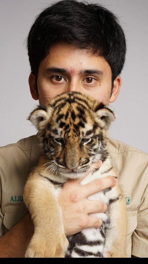 Jadi Sorotan, Alshad Ahmad Ungkap Penyebab Kematian Cenora Anak Harimau Miliknya