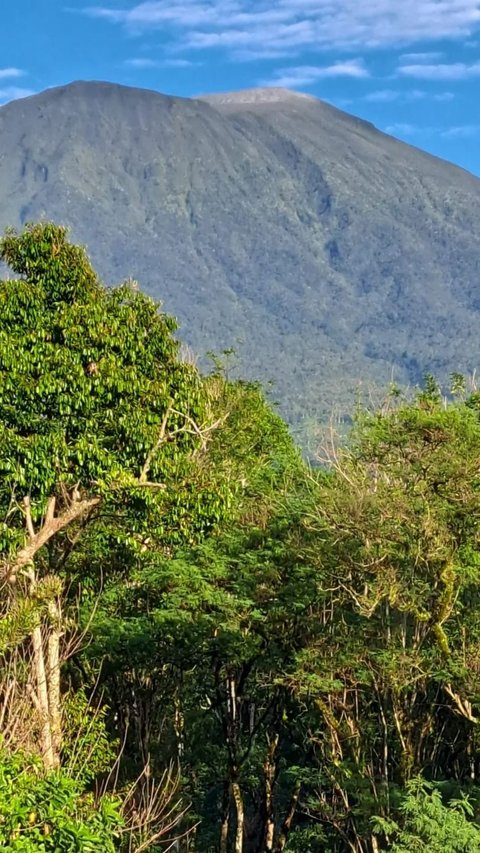 Potret Kepanikan Pendaki saat Gunung Dempo Erupsi,  Lari Menyelamatkan Diri Sampai Tenda Ditinggal