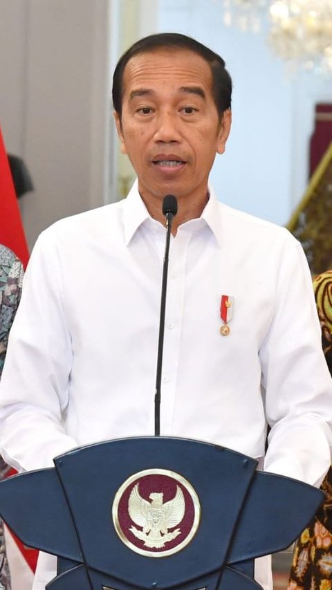 Titah Jokowi ke Menteri PUPR: Normalisasi Ciliwung Harus Segera Rampung