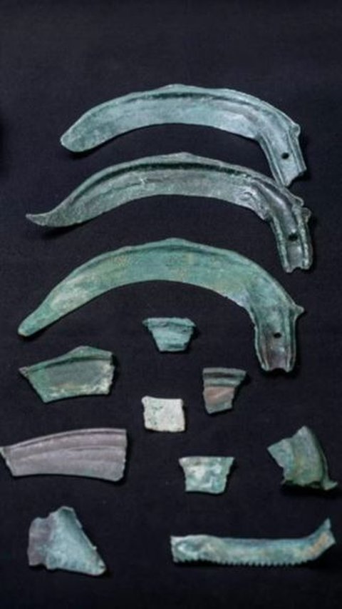Harta Karun Berusia 3000 Tahun Ditemukan di Situs Medan Tempur Pasukan Romawi, Ini Isinya