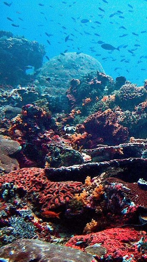 Air Laut di Klungkung Bali Bisa Langsung Diminum