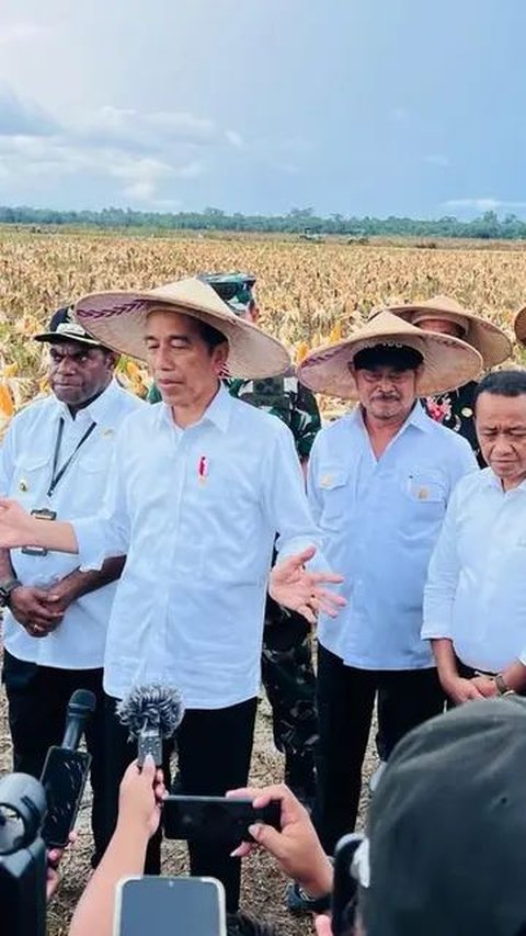 Mentan Dampingi Jokowi Tinjau Ladang Jagung di Food Estate Keerom Papua