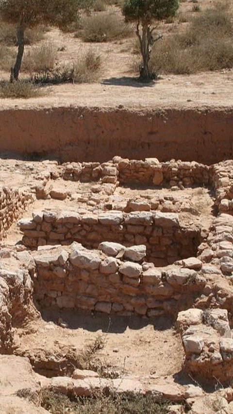 50 Kerangka dalam Kuburan Berusia 2500 Tahun Ini Ungkap Praktik Perdagangan Manusia di Zaman Kuno