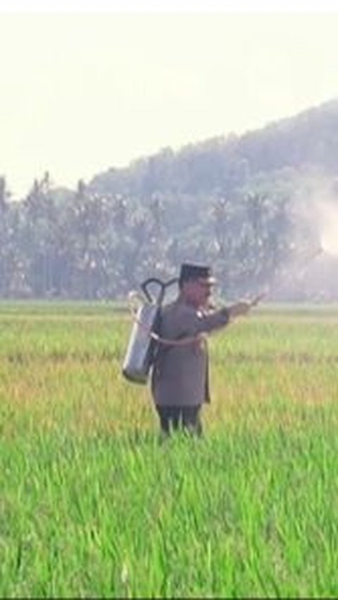 Gagah Berseragam Polri, Intip Momen Jenderal Bintang 1 Besan Ketua MPR Turun ke Sawah Nyemprot Padi