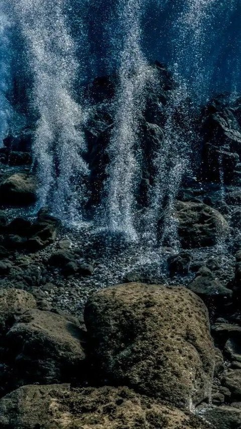 Ikan Pertama yang Bisa Berjalan Ini Simpan Satu Juta Telur di Gunung Api Bawah Laut