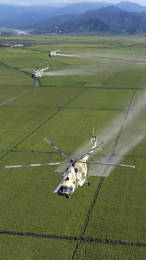 FOTO: Bukan Buat Perang, Kim Jong-un Kerahkan Pesawat Militer untuk Siramkan Pestisida di Sawah