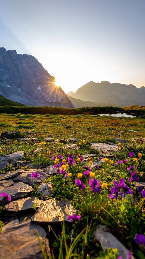69 Morning Motivational Quotes for Success: Kick Off Your Start Day