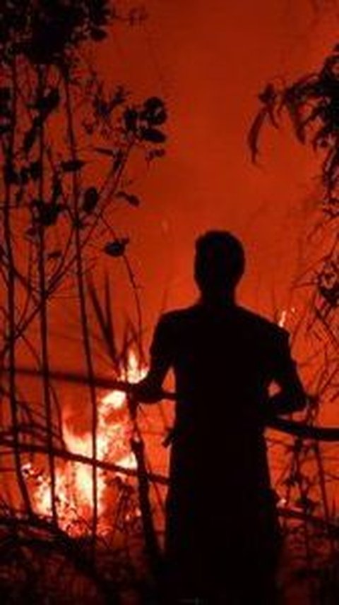 229,54 Ha Hutan dan Lahan di Jambi Terbakar, Jenderal Bintang Satu Tuding Ini Penyebabnya