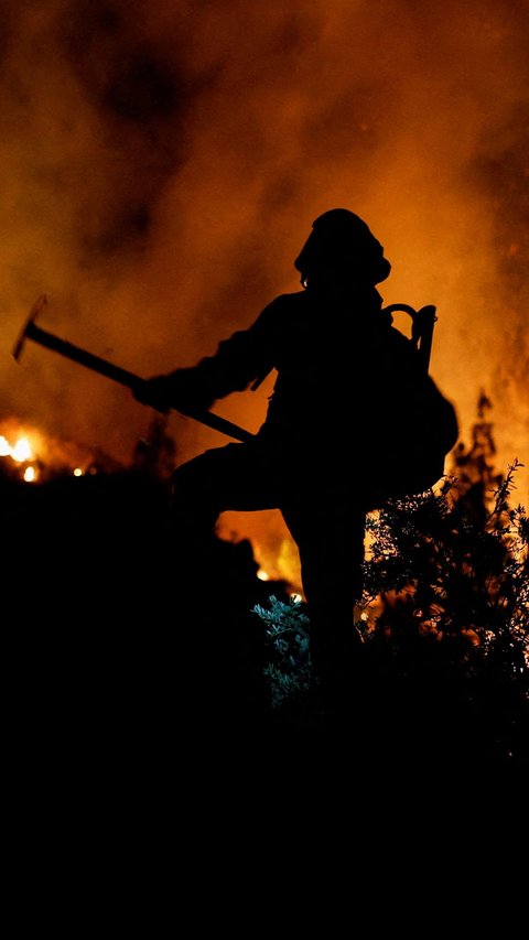 FOTO: Semakin Tak Terkendali, Kobaran Api Kebakaran Hutan di Spanyol Bikin Keadaan Pulau Tenerife Terancam Binasa