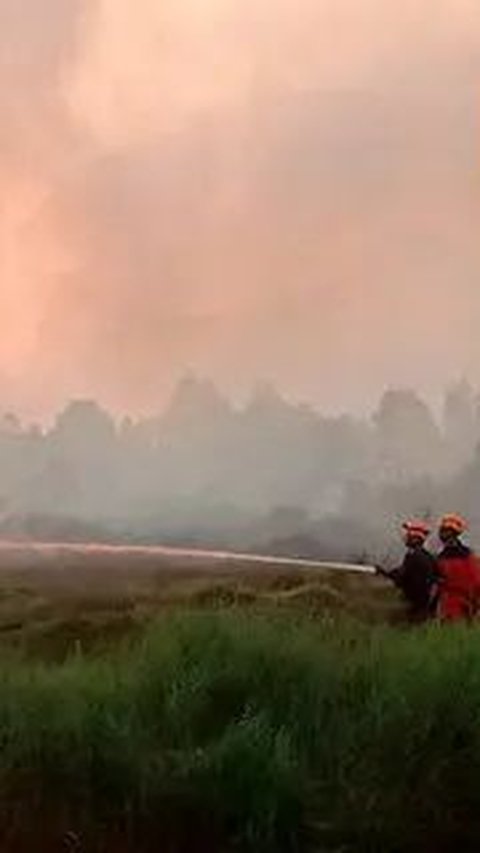 Curah Hujan di Sumsel Makin Berkurang, Daerah Rawan Karhutla Diminta Waspada