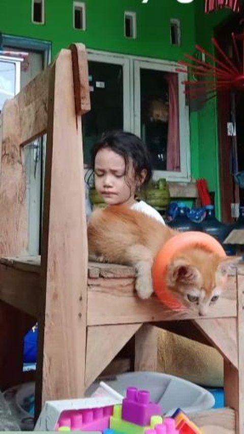 Ibunya Menyelamatkan Kucing, Reaksi Bocah Ini Curi Perhatian