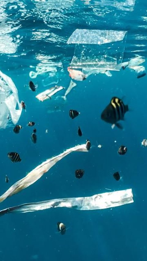 80 Persen Sampah Plastik di Lautan Berasal dari Negara Kemiskinan Tinggi