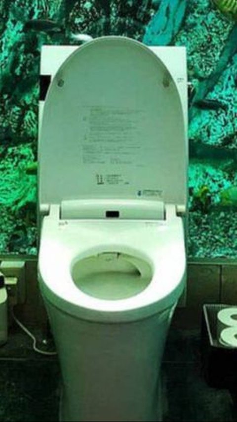 This Japanese Cafe Has A Toilet Surrounded By A Giant Toilet