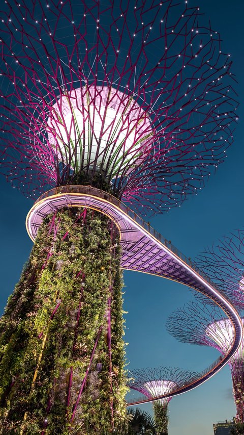 5 Interesting Facts You Should Know About Singapore