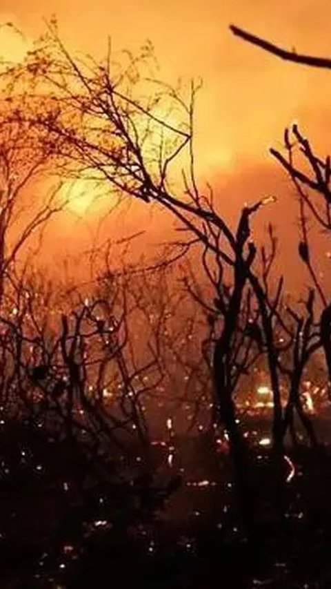 VIDEO: Pilu Korban Kebakaran Kebon Jahe Gambir Meratapi Harta Bendanya Ludes