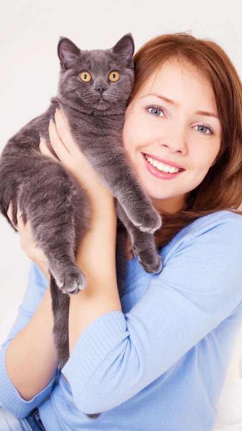 Apakah Kucing Masuk Surga? Ini Jawabannya yang Perlu Diketahui Para Pecinta Anabul