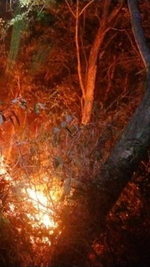 Pemadaman Gunung Ciremai Kebakaran Terkendala Angin