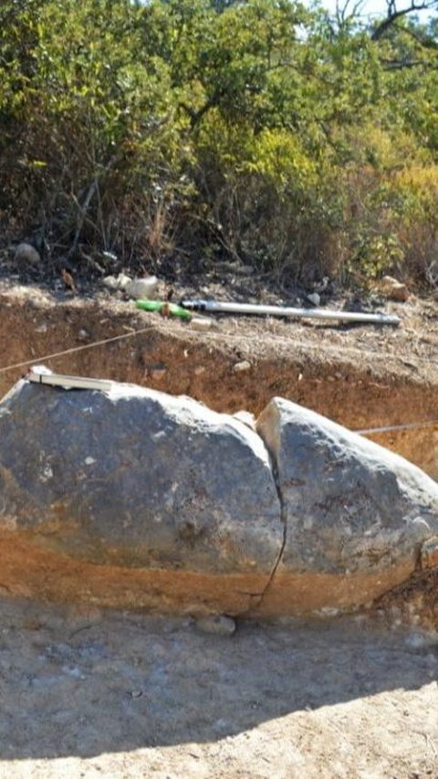 Arkeolog Temukan Tugu Batu Berusia 5.500 Tahun, Bentuknya Mirip Alat Kelamin Pria, Ternyata Ini Fungsinya